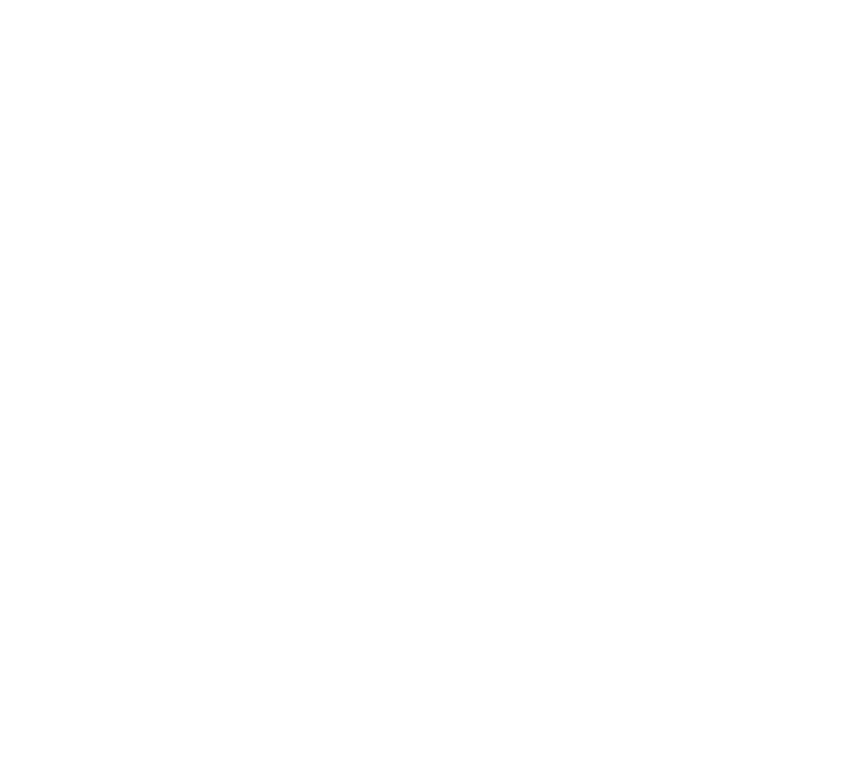 L'Obsidienne